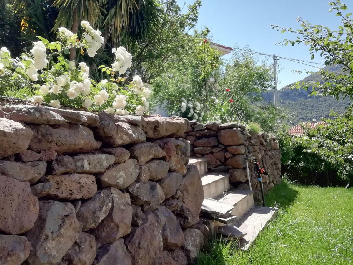 Casa Vacanze Villa Rosetta Dorgali Zewnętrze zdjęcie