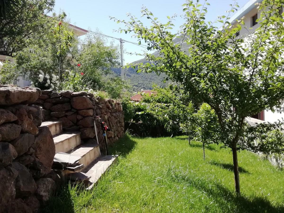 Casa Vacanze Villa Rosetta Dorgali Zewnętrze zdjęcie