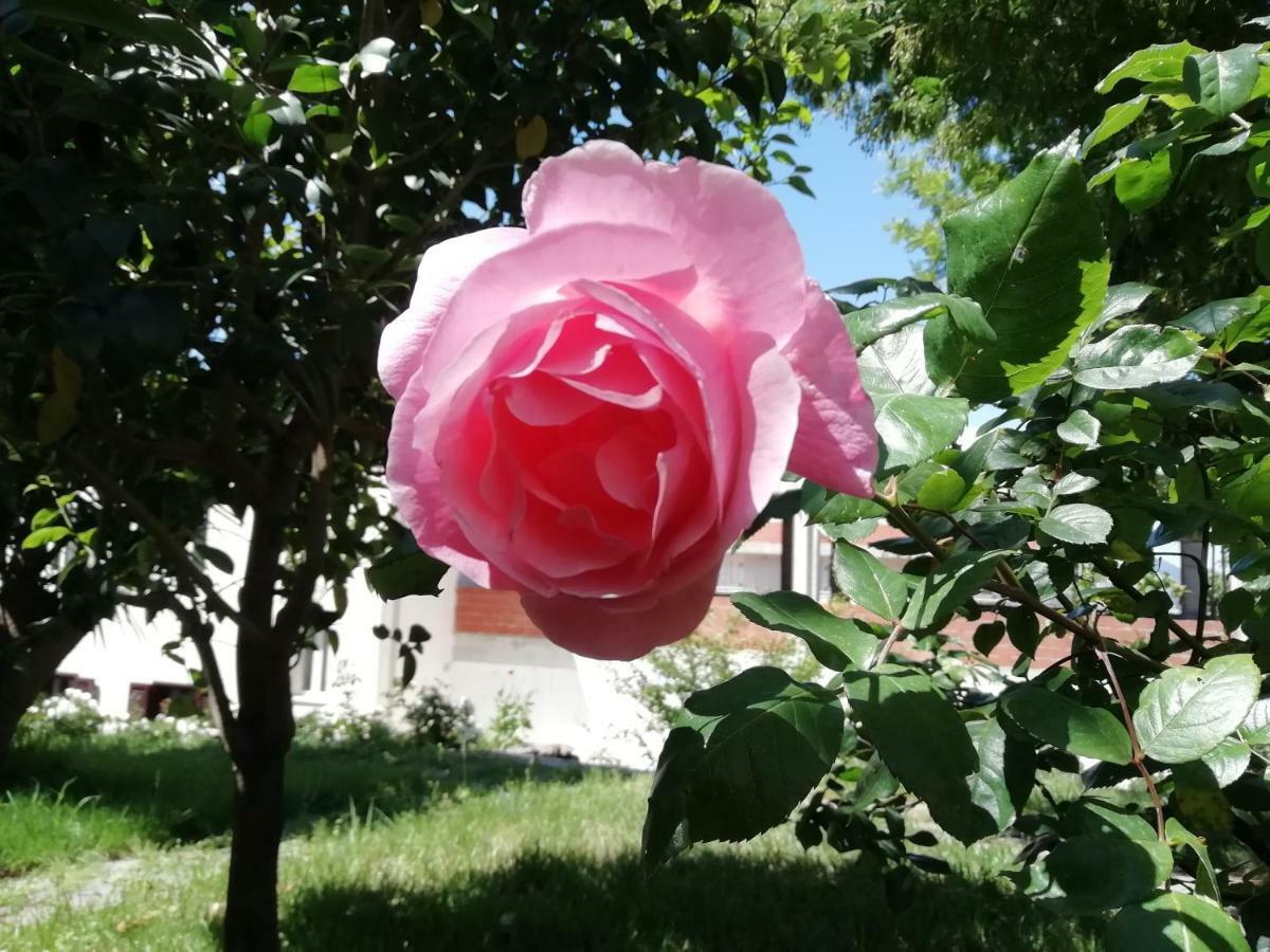 Casa Vacanze Villa Rosetta Dorgali Zewnętrze zdjęcie