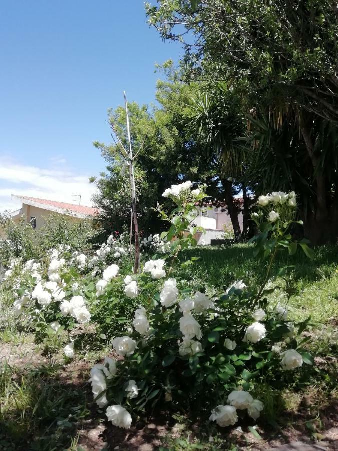 Casa Vacanze Villa Rosetta Dorgali Zewnętrze zdjęcie