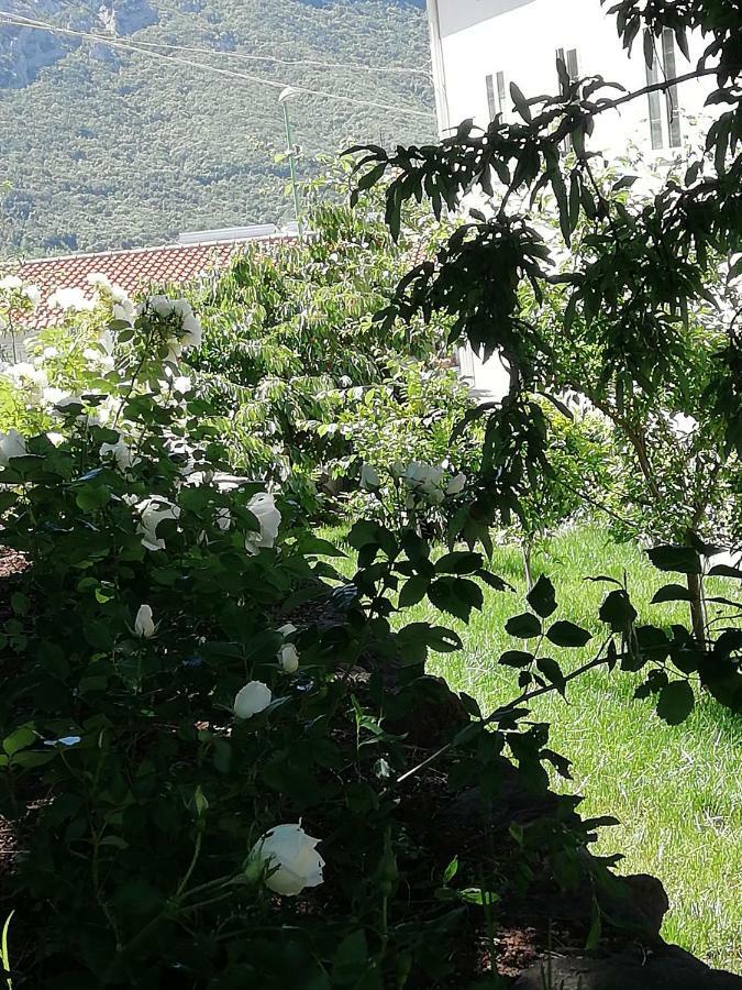 Casa Vacanze Villa Rosetta Dorgali Zewnętrze zdjęcie